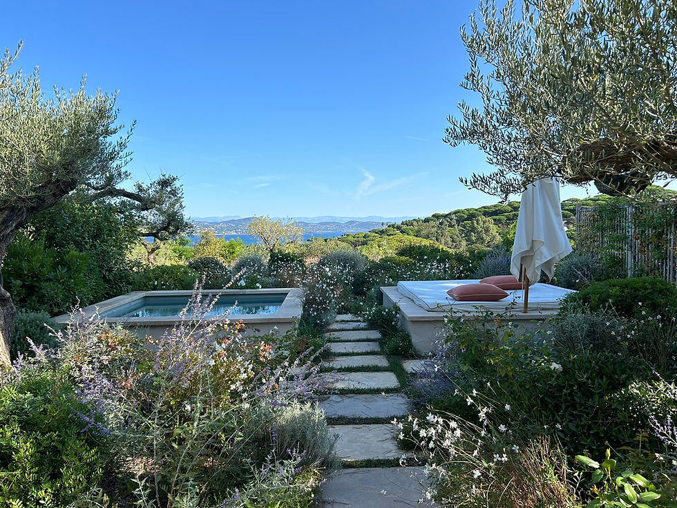 Junior Suite with Plunge Pool at Château de La Messardière