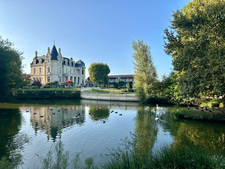 Dreamy Chateau in Saint-Emilion, France