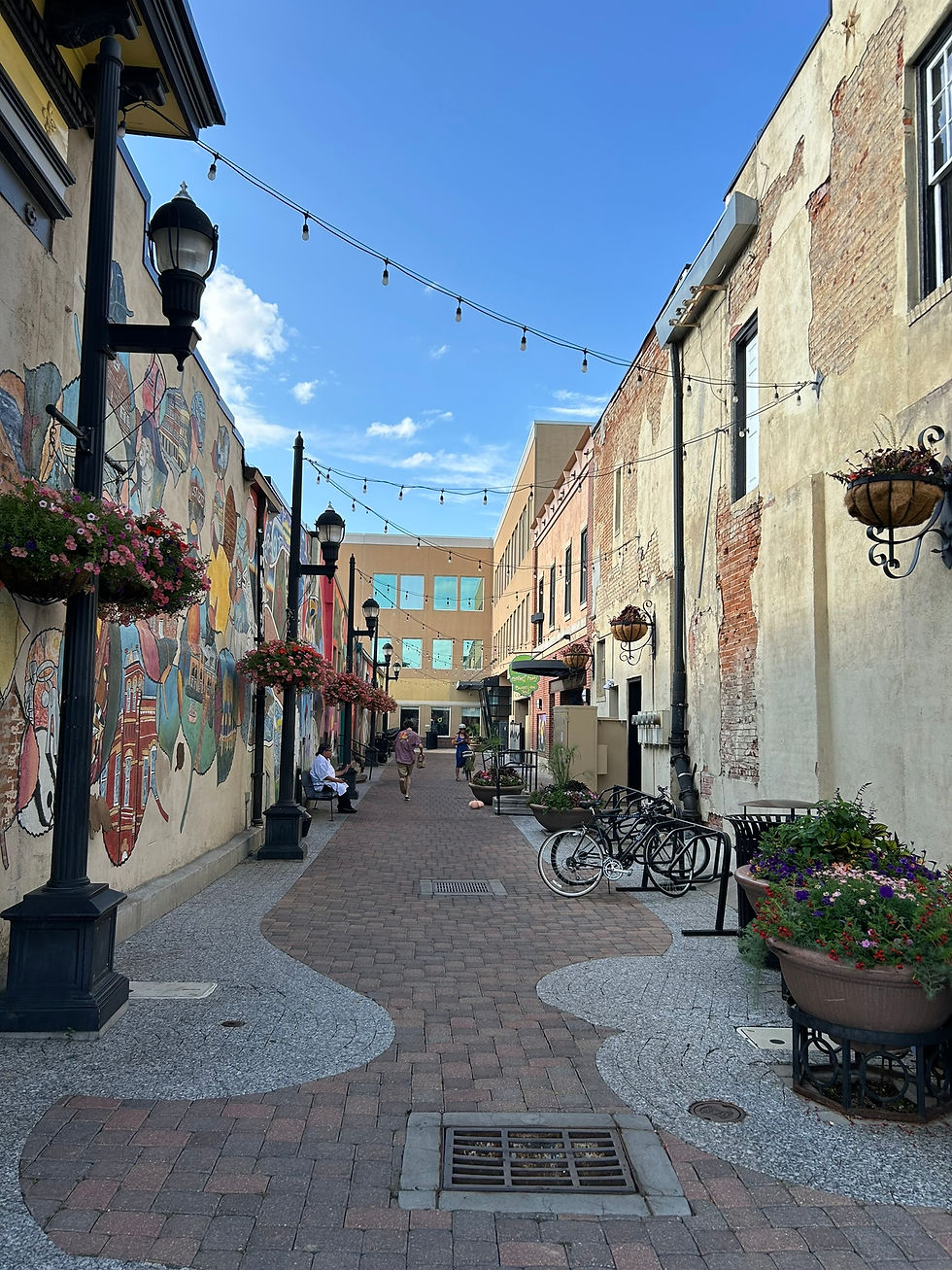 Colorful Alley in Fort Collins, CO