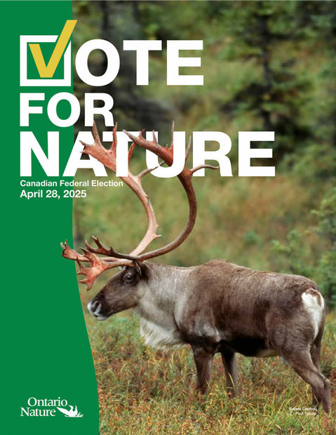 ONTARIO NATURE