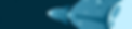 motion design.png