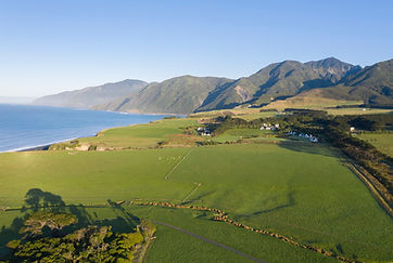 Palliser Bay