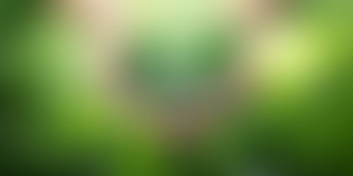 Já conheces o Sagriproject: Agricultura Sustentável ?!