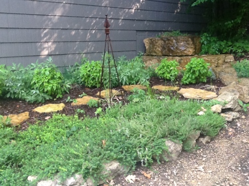 HerbGarden_08-29-13