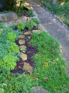 HerbGarden_10-07-13