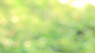 school assemblies.jpg