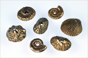 SeashellCollection_Etsy