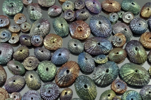PolymerClay_Seashells