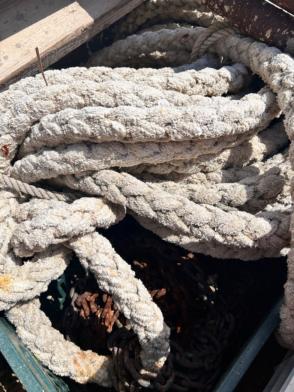 old boat ropes