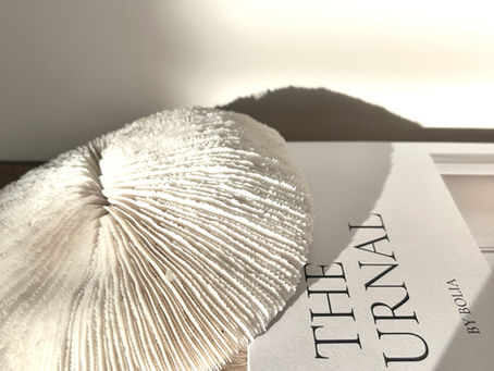 Coral and Magazine