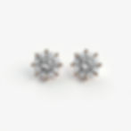 Stud Earrings