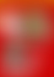 【27日まで!】年越しラーメン店頭にて受付中! <秋田/ラーメン/錦>