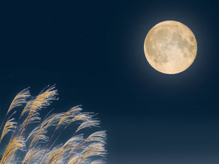 月夜イメージ