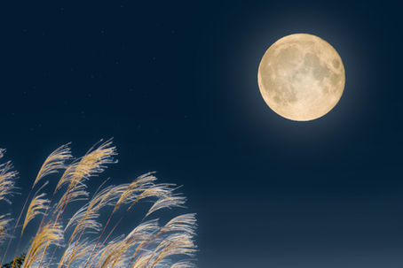月夜イメージ