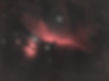 Horsehead-Final.jpg