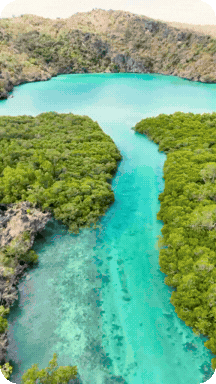 Untitled design (9).gif