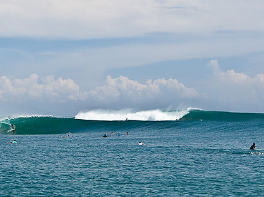 T-Land Wave