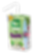 Lactose Free Milk Carten