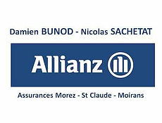 logo_allianz.jpeg