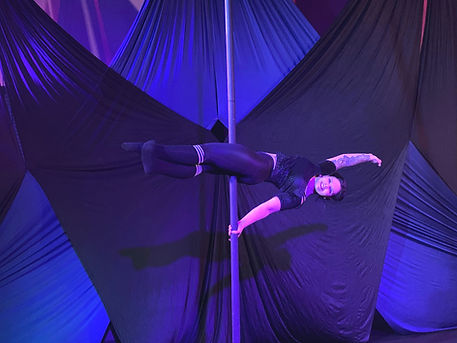 AimeeonSwingingPole_edited.jpg