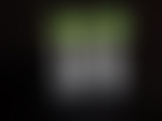 MÁS DE 30 NIÑOS ACUDEN A LOS TALLERES DE LIGHTPAINTING EN EL PALACÍN