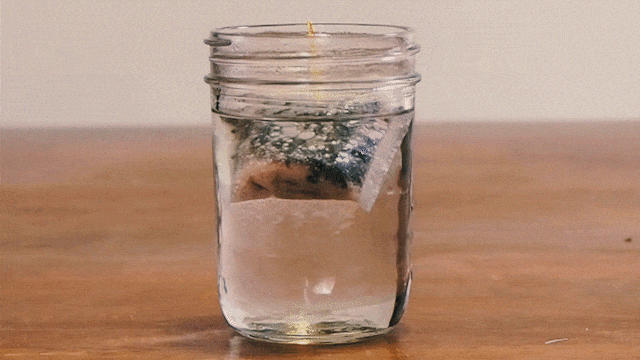 tntea.gif