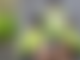 Leadership Training - HKOR, Hong Kong