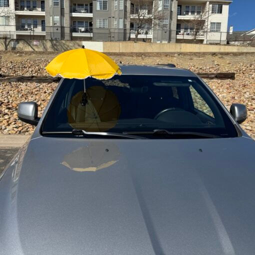 Thumbnail: Windshield Chip Repair Umbrella