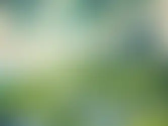 Nuevas Regulaciones que Podrían Cambiar la Energía Renovable en 2024