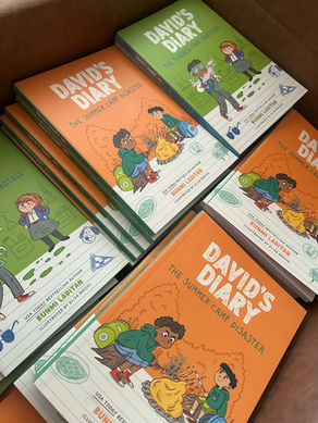 I wrote a new book series