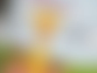 Book Review: Necky Goes to Brekky