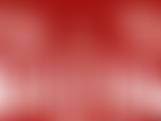 MERRY CHRISTMAS FROM SHIEKH SHOES!