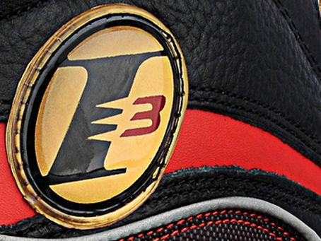 MUST-HAVE: REEBOK ANSWER DMX 10