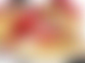 THIS JUST IN! REEBOK PUMP PAYDIRT MID “49ERS”