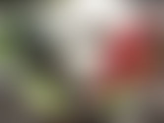 THIS JUST IN! NIKE AIR MAX 90 “ICE”