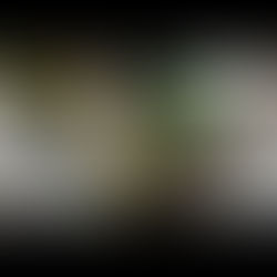 引渡しに向けて