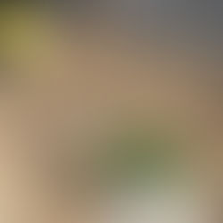 久し振りの地鎮祭