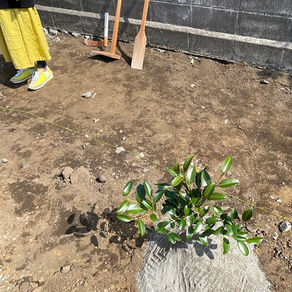 久し振りの地鎮祭