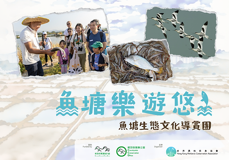 Public Guded Tour_4_3.png