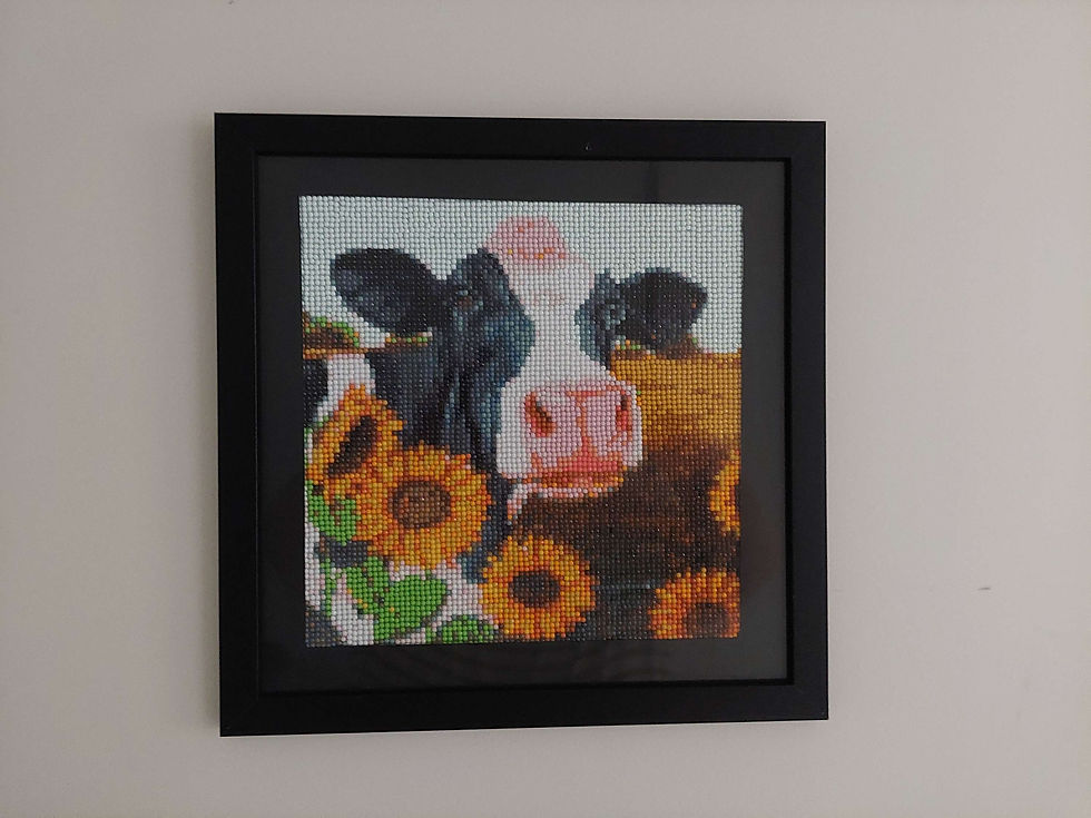 Thumbnail: Framed Diamond Dotz Picture 