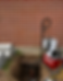 E1B9CF24-569C-4517-80D8-42D0948E0733.PNG