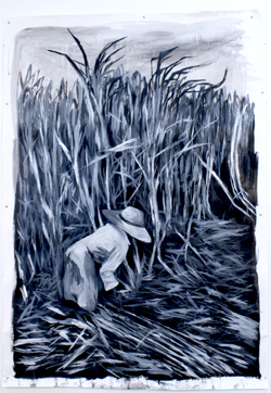 Silencio en la caña 2024