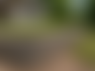 Retaining Wall Cost in Southern Oregon: What Homeowners Should Expect (and How to Save)