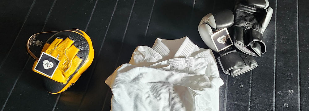 pads, gloves and a Gi