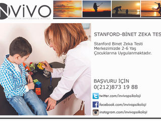 STANFORD BINET ZEKA TESTİ