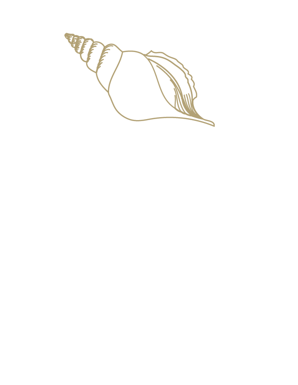 kids art classes Qualicum Beach Oceanside Art Studio