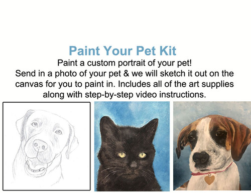 Paint Your Pet Kit Artstudio