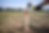 ChatGPT Image 28. 2. 2026 10_12_22.png