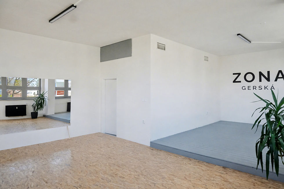 zona (16).jpg