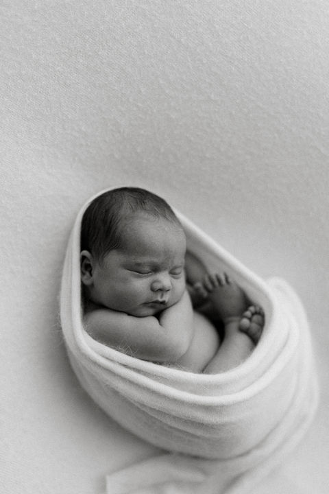 Auckland Newborn Photographer